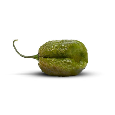 Pepper